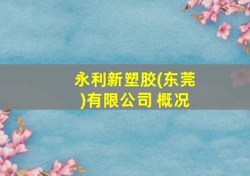 永利新塑胶(东莞)有限公司 概况